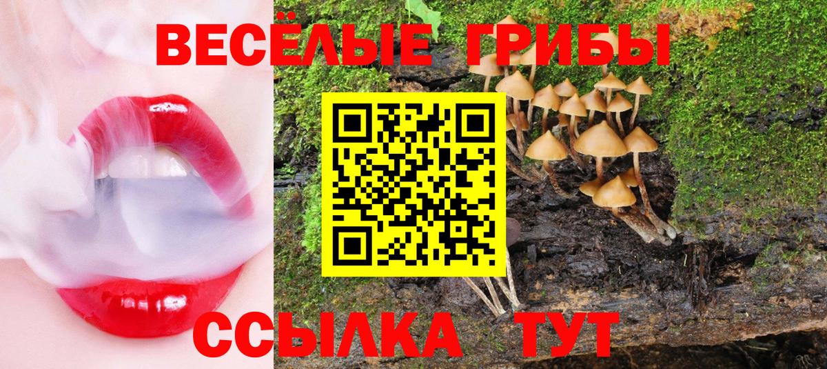 Галлюциногенные грибы прущие грибы  Вход с VPN  Сорочинск 